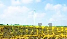 国产欧美日韩av综合-国产与海外AV内容，多元化娱乐视角下的文化交融