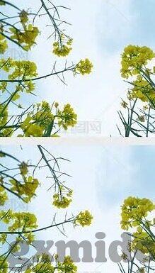 中文字幕导航-探索中文字幕导航，文化桥梁与智能服务的融合
